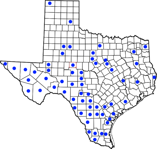 [texasshowingcounties4.png]