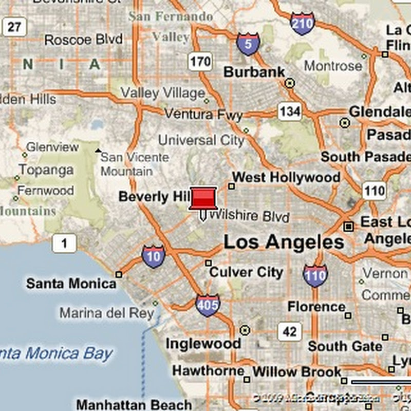 Beverly Hills Can Lead on Feral Cat Problem