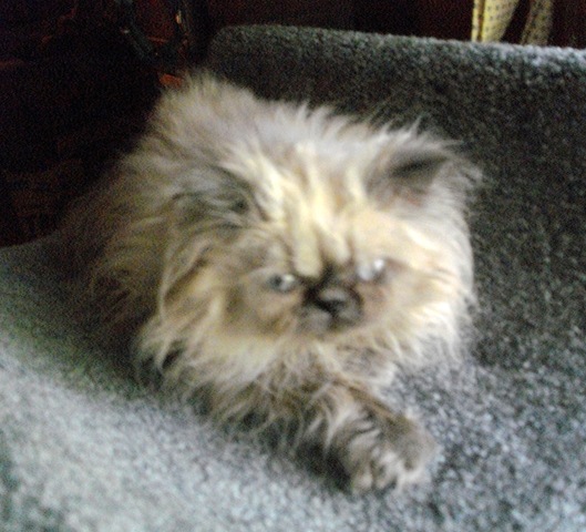 [Baby Face Finster 3[3].jpg]