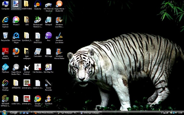[white tiger wallpaper 2[3].jpg]