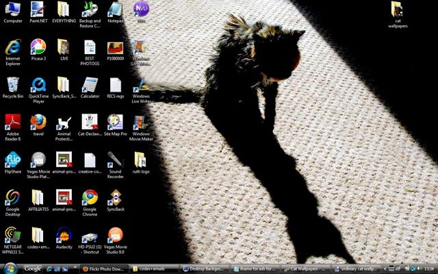 [ordinarycatwallpaper23.jpg]