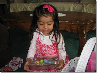 IMG_9219 IMG_9219