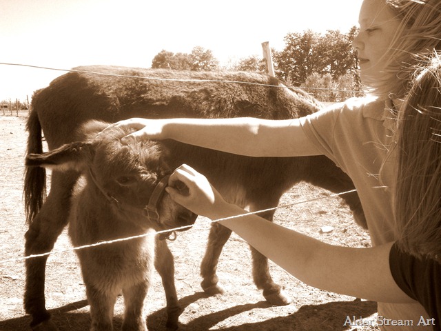 [2010051301017.jpg]