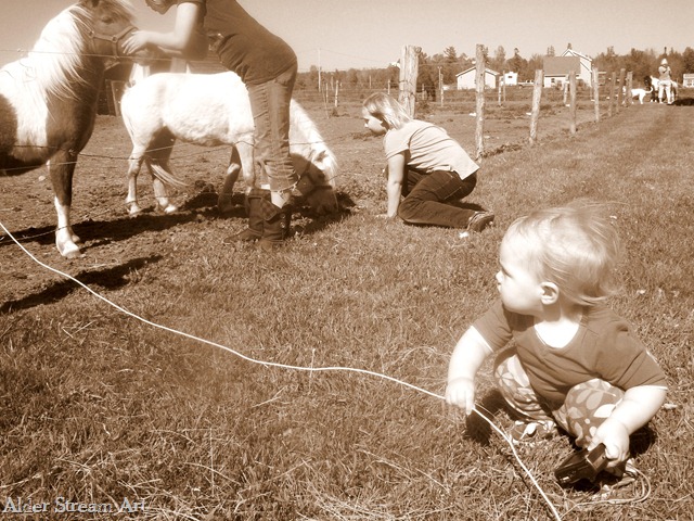 [201005130196.jpg]