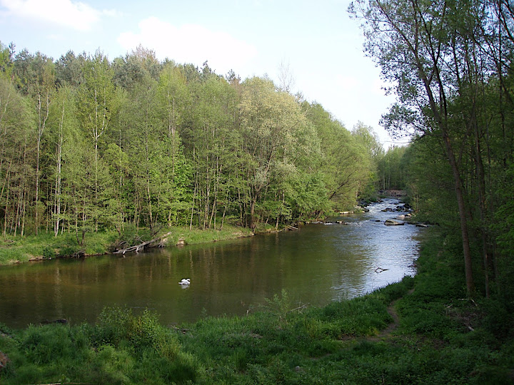 P5090065.JPG