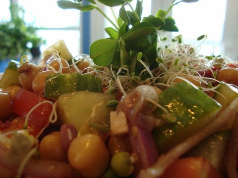 Beautiful Salad to heal from Addiction