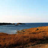 arapya 2009