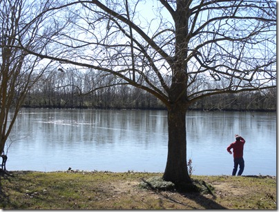 frozen pond 002