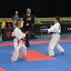 Swedish Cup 2011