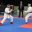 Swedish Cup 2011