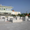 IMG_5955.JPG