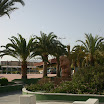 IMG_5962.JPG