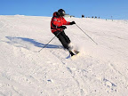 p36.jpg