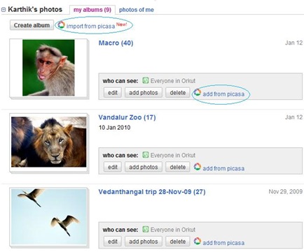 picasa to orkut