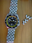 SKX007 zomers