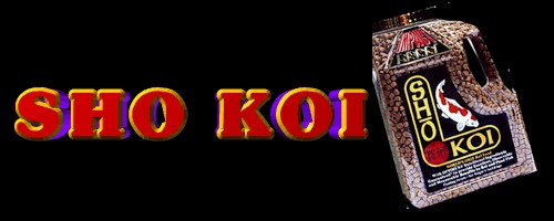 Sho Koi