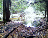 10-02-10_1257.jpg Photo