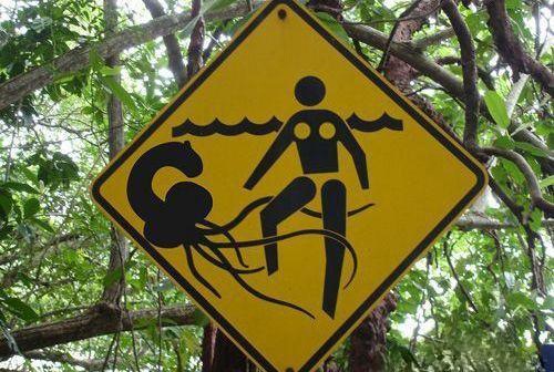 [Caution Flying Spaghetti Pisserfish[4].jpg]