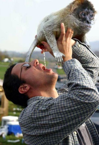 [refreshment4.jpg]