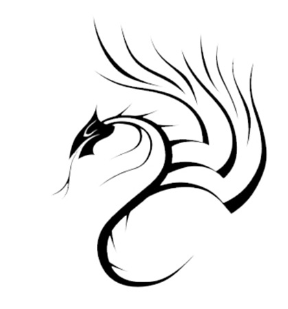 5 5