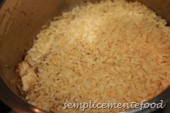 IMG_5874 IMG_5874