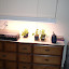 Flora's Baby Plant garden