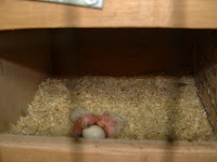 DSCF0015.JPG