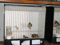 DSCF0228.JPG