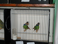 DSCF0226.JPG