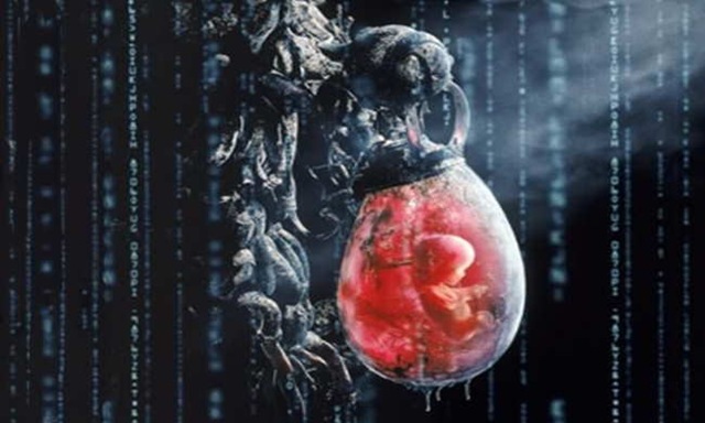 [matrix04[3].jpg]