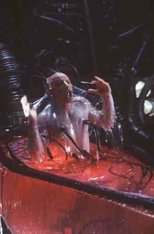 [matrix-pod[3].jpg]