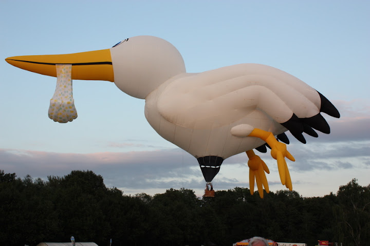 Twente ballooning