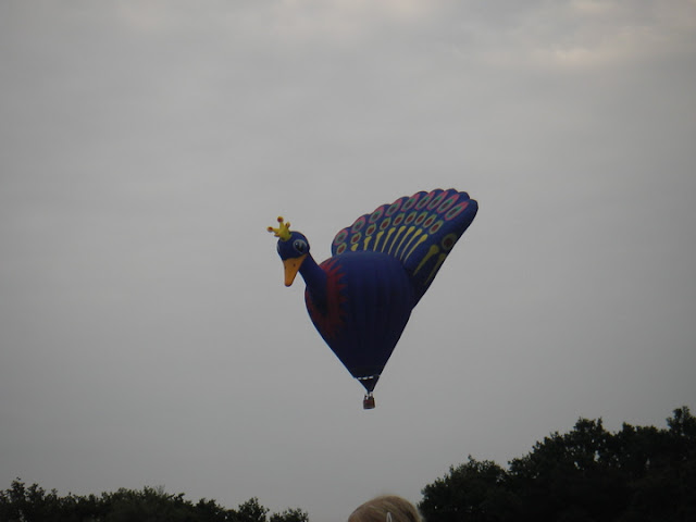 Twenthe ballooning 2005 op het hulstbeek in oldenzaal