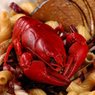 Salata od riječnih rakova/Crayfish salad