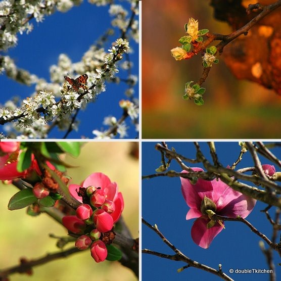 my secret garden - collage-2