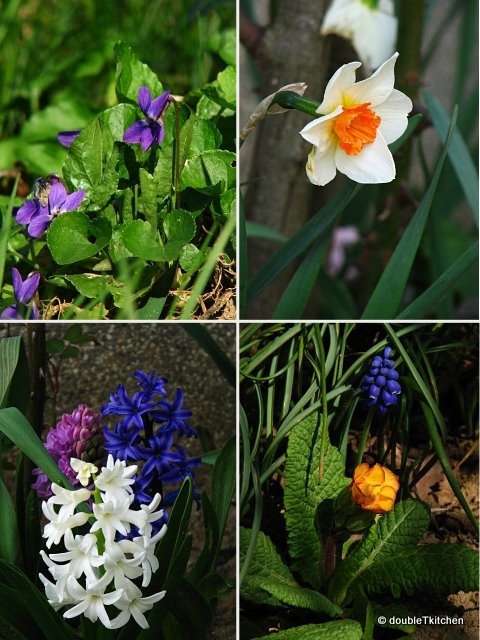 [my secret garden 2-1[5].jpg]