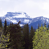 banff-2005