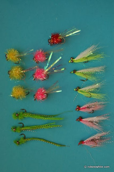 Shad Selection