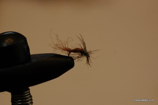 caddis emerger