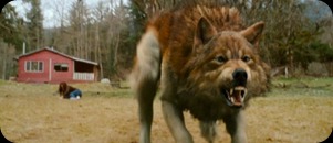 jake_the_wolf
