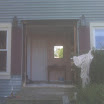 IMG00155.jpg