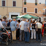 Raccolte Firme per l'Andosilla