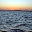 DSC_0668.JPG