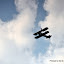 DSC_0352.JPG