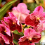 DSC_0759.JPG