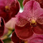 DSC_0760.JPG