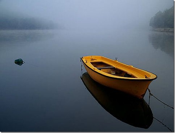 Stillness_Full