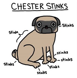 stinky dog