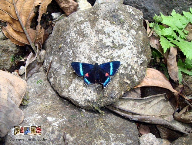 [MariposaF214.jpg]