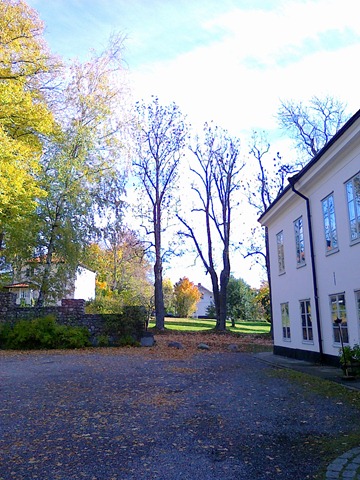 [20101017020[2].jpg]